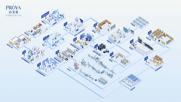全流程智能化引領(lǐng)行業(yè)未來 珀萊雅股份湖州分公司獲評2023年浙江省技術(shù)開發(fā)榮譽